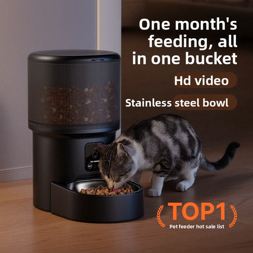 Pet Intelligent Feeder